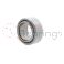 GE20C-SKF
