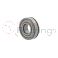 6006-2ZN-SKF