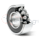 2306EEG15-SNR