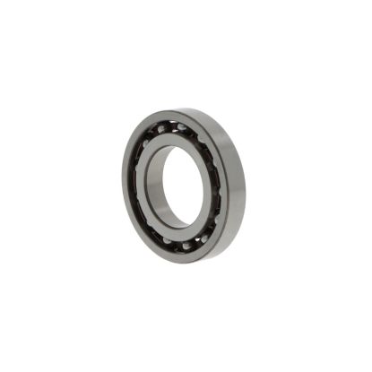 6001TN9-SKF